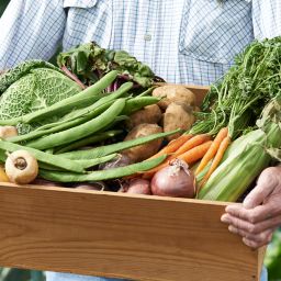 home grown vegetables