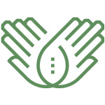 Massage and Complementary Therapies