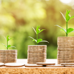 Financial Wellbeing Express